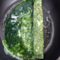 Ż̿丮, Ż 