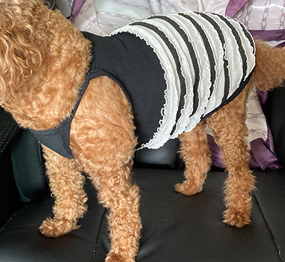 ac58e476dd70e69aa9b89ecc6da80ef0_puppy_noodle_strap_tee3.jpg